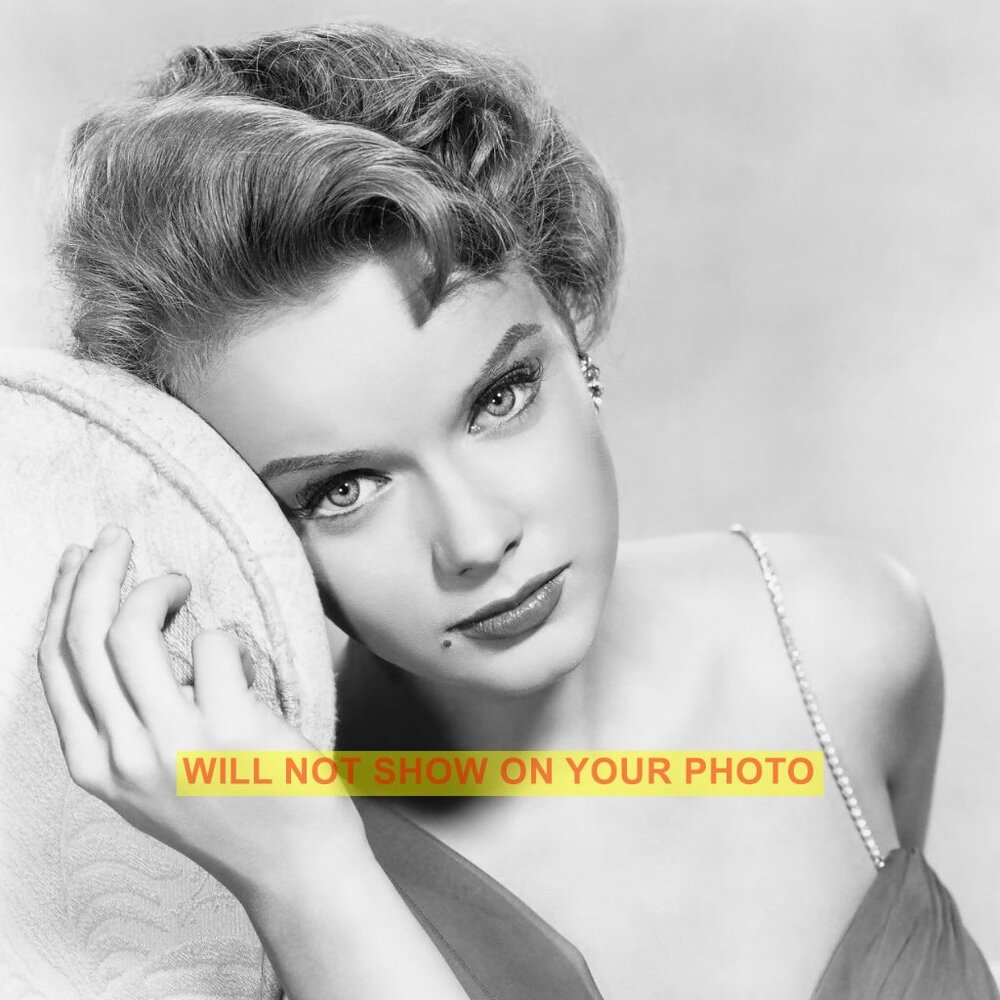 Photo Collectible Print 8x10 Hollywood Actress, Gorgeous Ann Francis, No Tats!